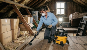 How to clean an attic 1
