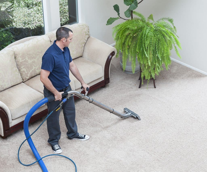 carpet cleaner