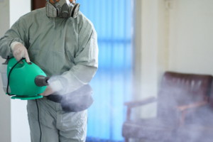 fogging and disinfection services, Covid 19