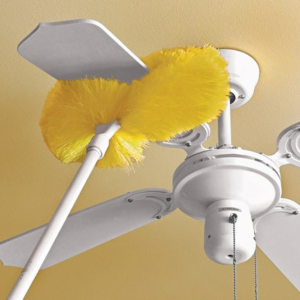 Fan 2