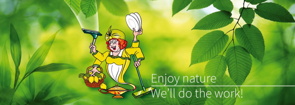 domestic cleaning london London domestci services- green cleaning with eco products