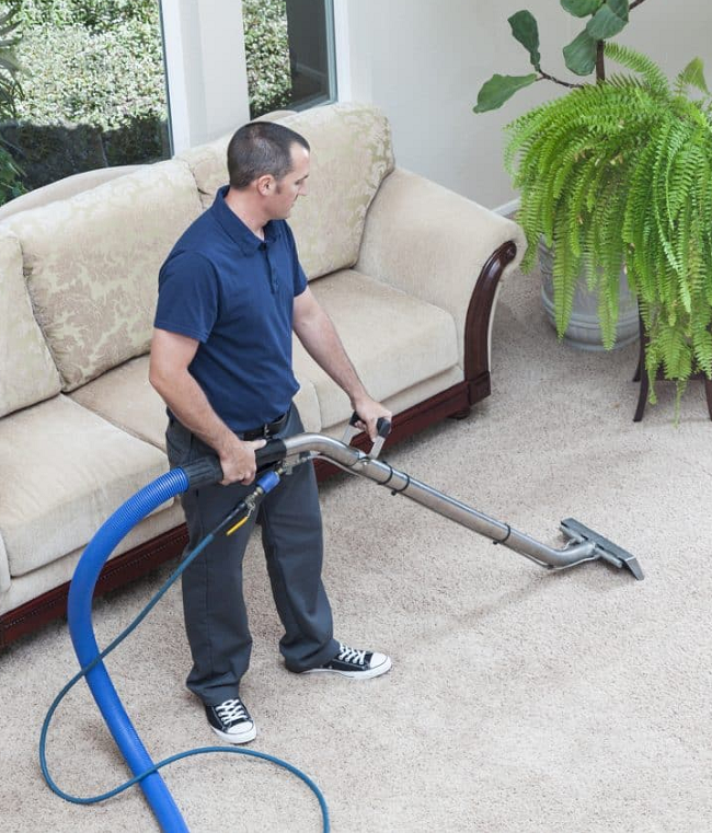 carpet cleaner 1